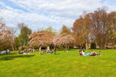 Maastricht bir parkta baharda yalan insanlar