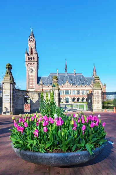 Fredspalatset i Haag, Nederländerna — Stockfoto