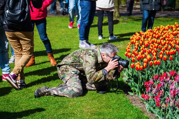 Berömda blomma parken Keukenhof i Lisse, Nederländerna — Stockfoto