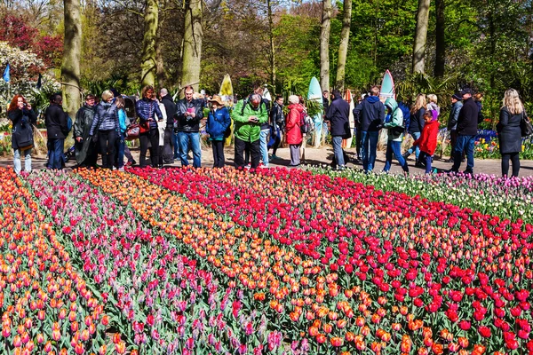 Famoso parque de flores Keukenhof em Lisse, Países Baixos — Fotografia de Stock