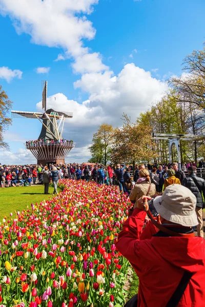 Famoso parque de flores Keukenhof en Lisse, Países Bajos — Foto de Stock