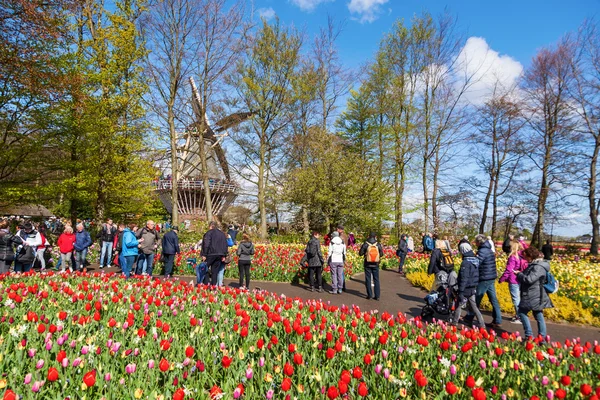 Famous flower park Keukenhof in Lisse, Netherlands — Stock Photo, Image