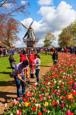 famous flower park Keukenhof in Lisse, Netherlands clipart