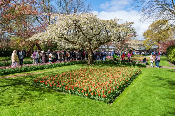 Bekende bloemenpark de Keukenhof in Lisse, Nederland — Stockfoto