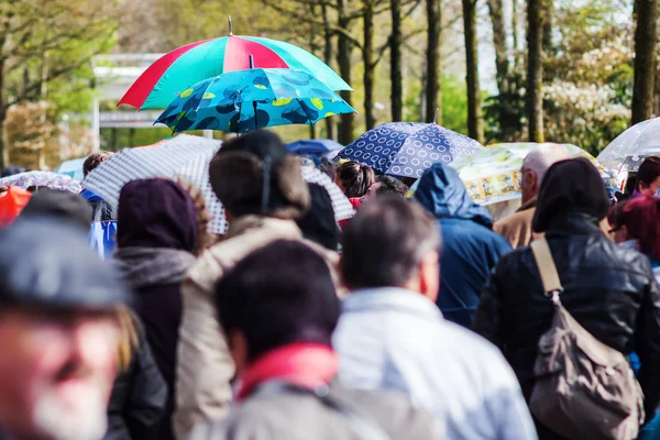 crowds of people on the move while it is raining