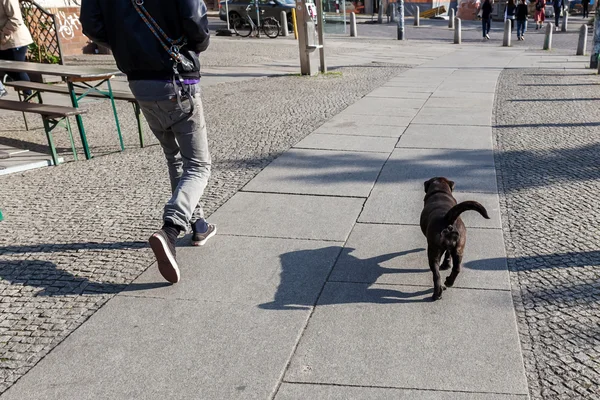 Uomo con cane in città — Foto Stock