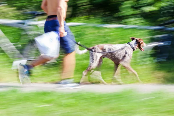 En man som rastar en hund — Stockfoto