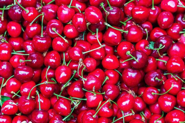 background picture with red cherries