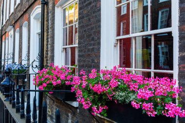 Westminster, Londra eski satır evleri