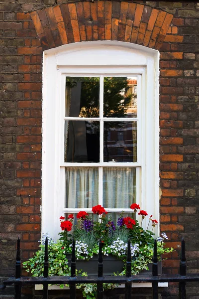 Fenster eines alten Stadthauses in Westminster, London — Stockfoto