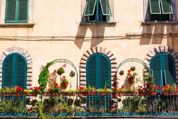 Balcón decorado con flores en Lucca, Italia —  Fotos de Stock