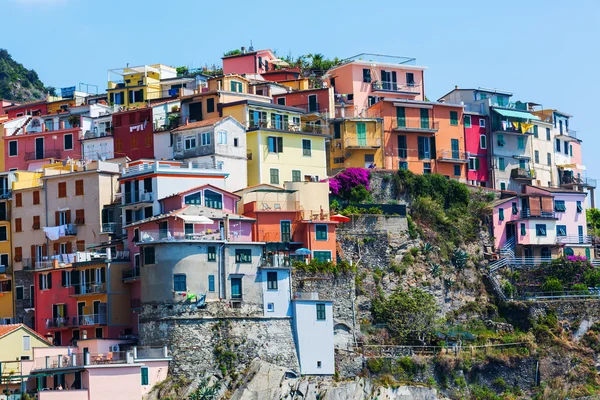 Domy postavené na kopci v Manarola, Cinque Terre, Itálie — Stock fotografie
