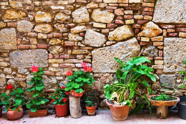 Linha de vasos de flores na frente de uma parede de pedra velha — Fotografia de Stock