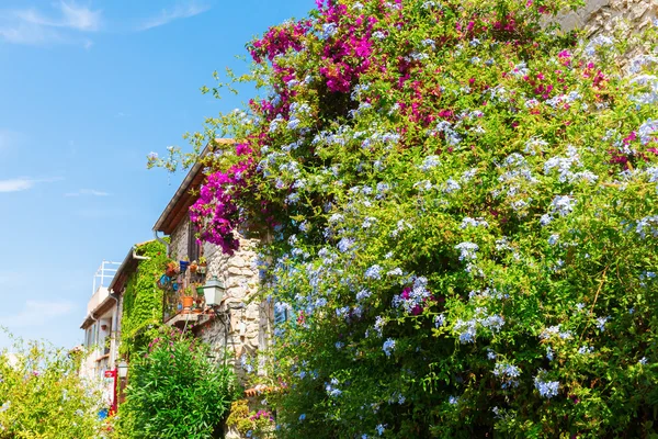 Steegje met gevlochten huizen in Antibes, Frankrijk — Stockfoto