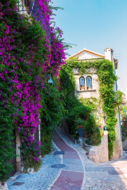 Saint-Paul-de-Vence'nin, Provence, Fransa sokakta