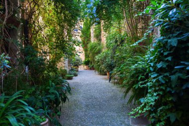Saint-Paul-de-Vence'nin, Provence, Fransa sokakta