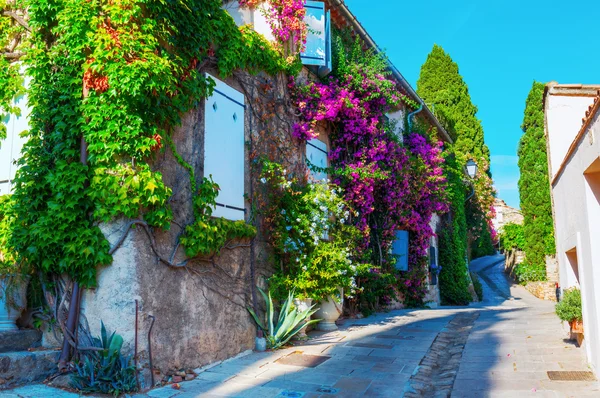 Callejón en el pueblo provenzal Grimaud, Francia —  Fotos de Stock