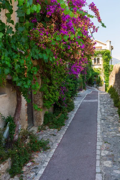 Callejón en Saint Paul de Vence, Francia — Foto de Stock