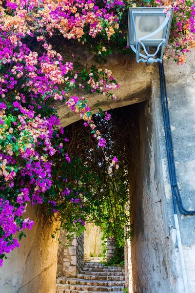 Аллея в Saint-Paul-de-Vence, Provence, France — стоковое фото