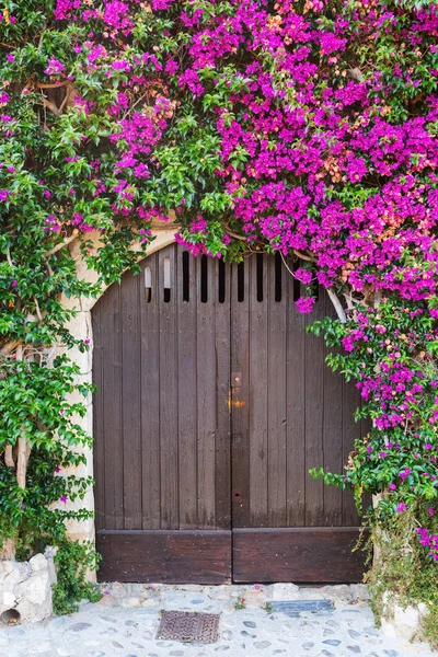 In Saint-Paul-de-Vence, Provence, Frankrijk — Stockfoto