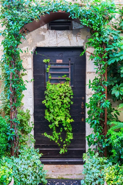 Grön sammanflätade dörr i Saint-Paul-de-Vence, Provence, Frankrike — Stockfoto