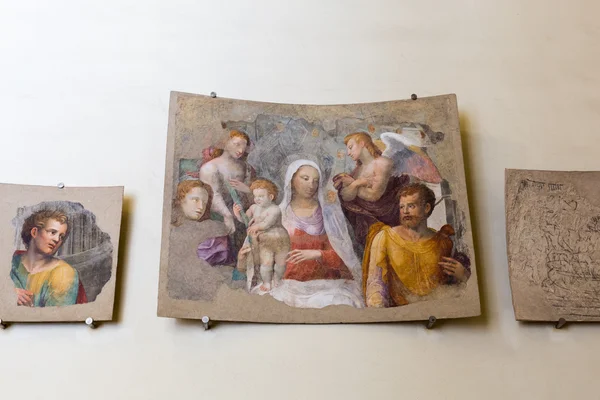 Siena Katedrali müzesinde sergi — Stok fotoğraf