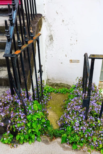 Entrada da casa overgrown em Londres — Fotografia de Stock