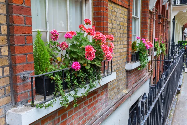 Edifícios históricos em Kensington, Londres — Fotografia de Stock