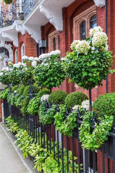 Schön dekorierter zaun in kensington, london — Stockfoto