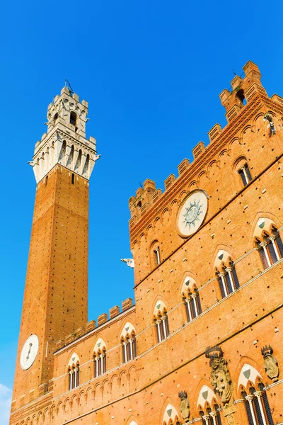 Torre del Mangia Siena ile Palazzo Pubblico — Stok fotoğraf