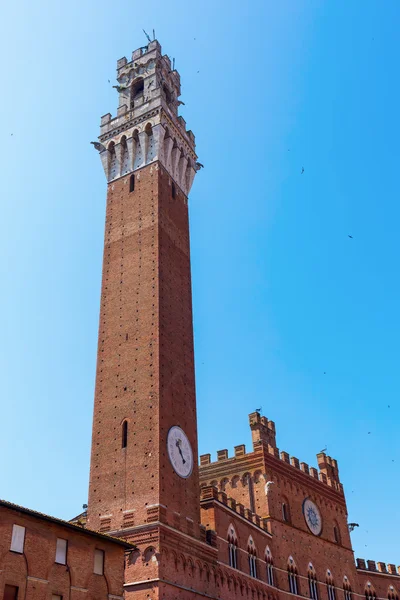 Torre del Magnia in Siena, Italy — Stock Photo, Image