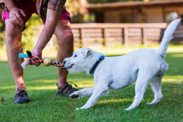 man is playing with his dog