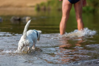 bir nehir köpekli adam