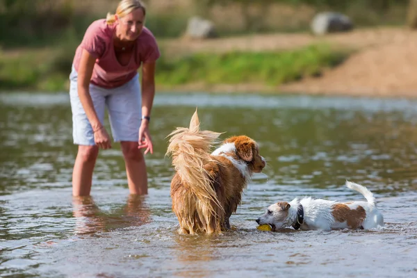 woman plays with dog in the water