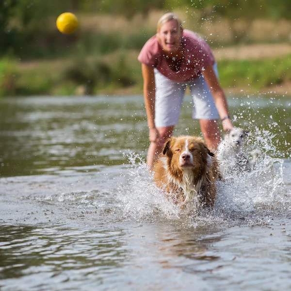 Frau spielt mit Hund im Wasser — Stockfoto