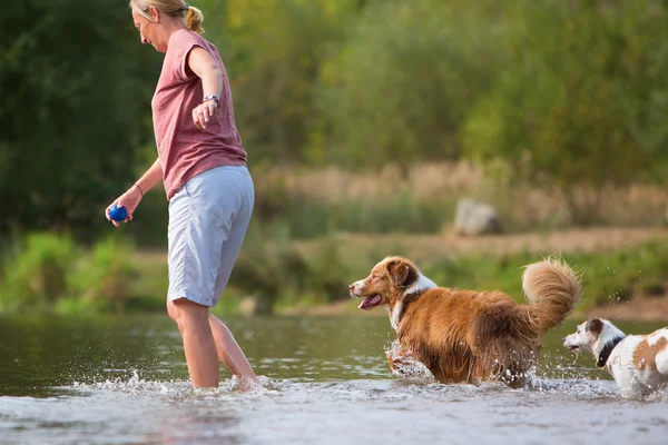 woman plays with dog in the water