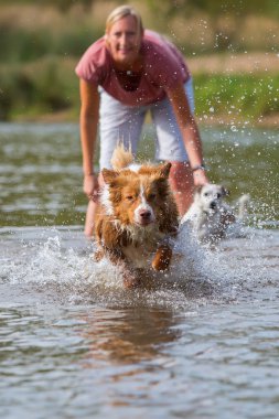 kadın ile köpek su çalış