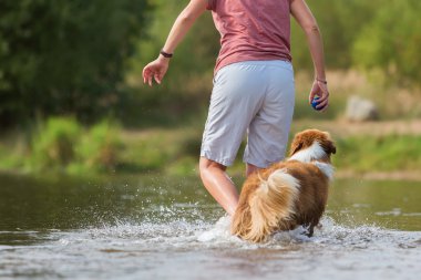 kadın köpeğini su ile çalış