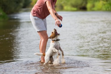 kadın papaz Russell Terrier ile çalış