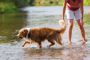 Nehirde bir köpekle kadın çalış