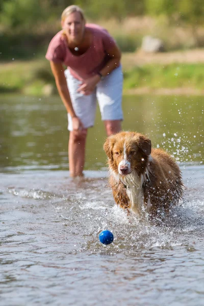 Nainen leikkii koiransa kanssa vedessä — kuvapankkivalokuva
