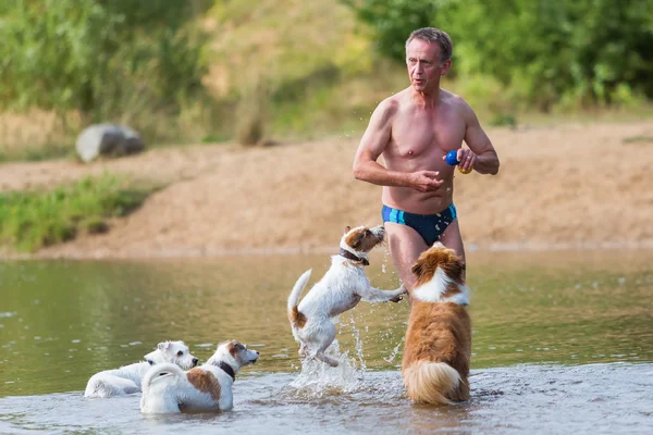 Mann spielt mit Hunden im Fluss — Stockfoto