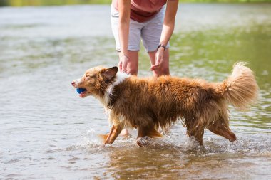 Nehirde bir köpekle kadın çalış