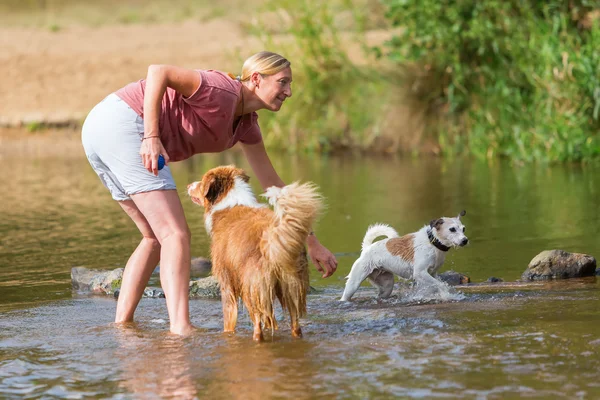woman plays with dogs in a river