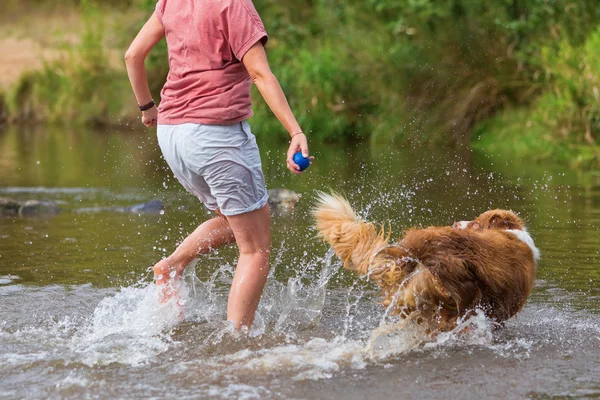 Frau spielt mit Hund in Fluss — Stockfoto