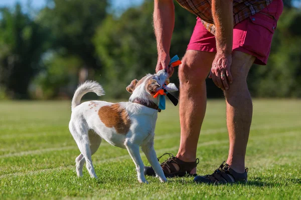 Mies leikkii koiransa kanssa niityllä — kuvapankkivalokuva
