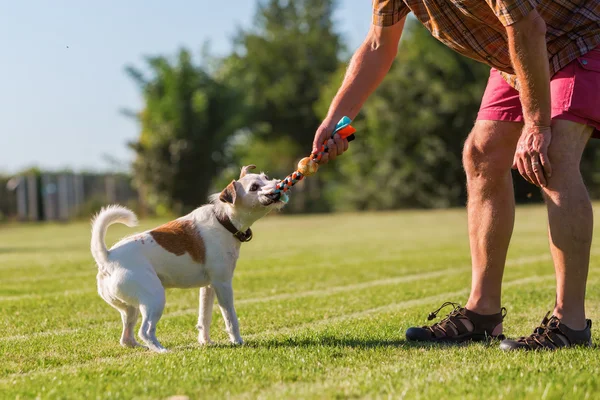 Homme joue avec son chien sur la prairie — Photo