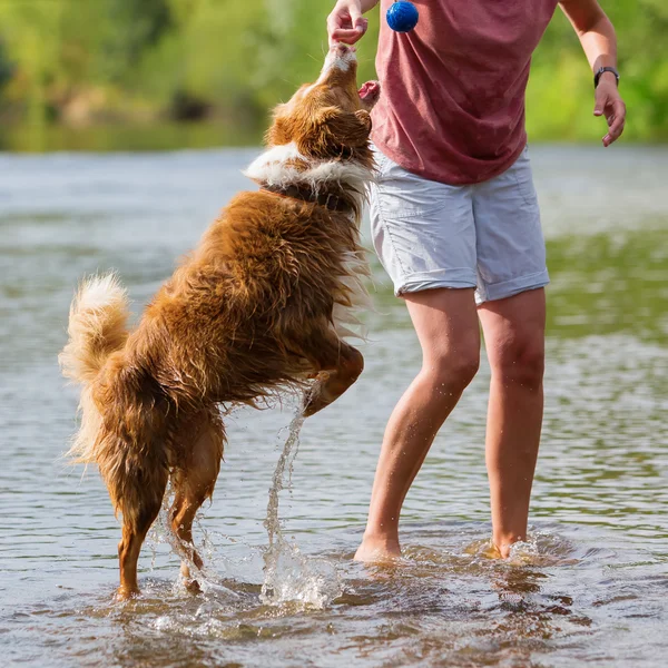 Frau spielt mit Hund in Fluss — Stockfoto