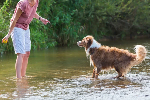 Vrouw speelt met een hond in een rivier — Stockfoto