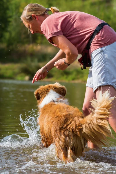 Donna gioca con un cane in un fiume — Foto Stock